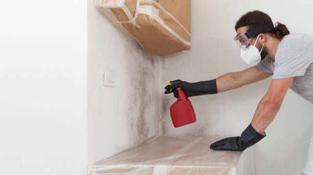 Professional Hvac And Air Duct Mold Remediation technician working in Lowell, MI